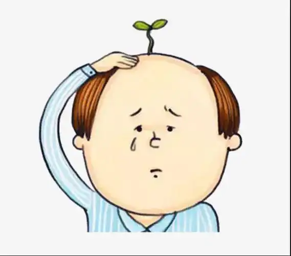 秃头警告为什么好好的头发越来越少可能和这6个原因有关系