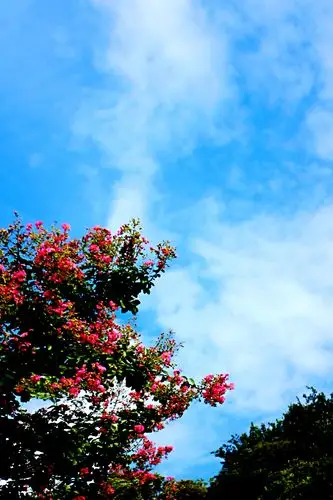 蓝天白云山水间——夏日之辰山植物园