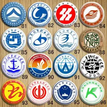 山东旅游理工业经贸商务交通凯文杏林科技轻工职业学院校徽章胸针 92