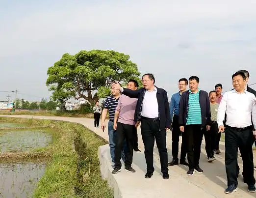 省农业农村产业发展服务中心党委书记刘长城在兴国督导调研春耕生产