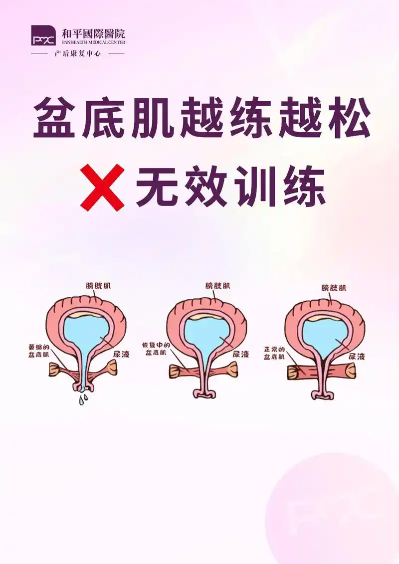 7815盆底肌松弛的原因 - 抖音