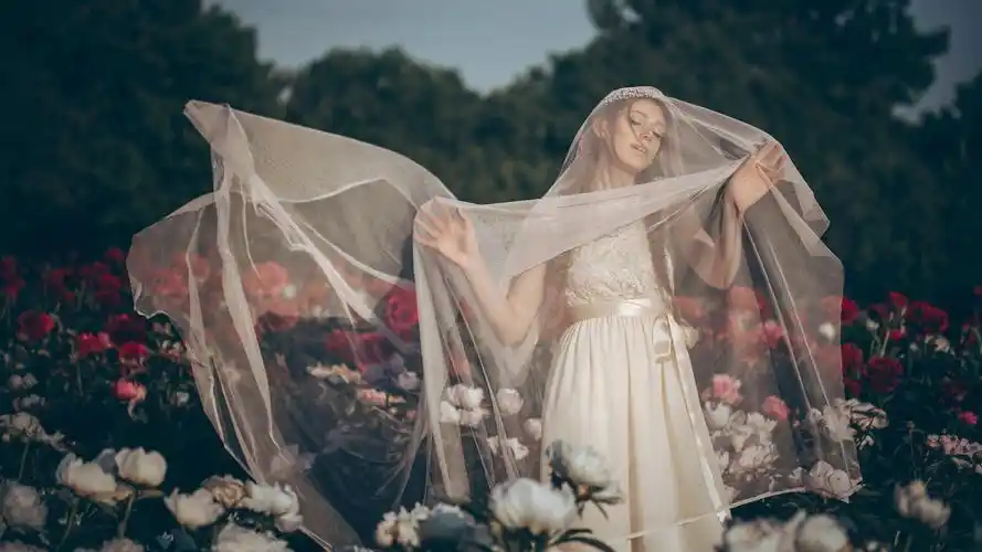 新娘婚纱礼服鲜花面纱,唯美壁纸大赏,免费电脑壁纸下载