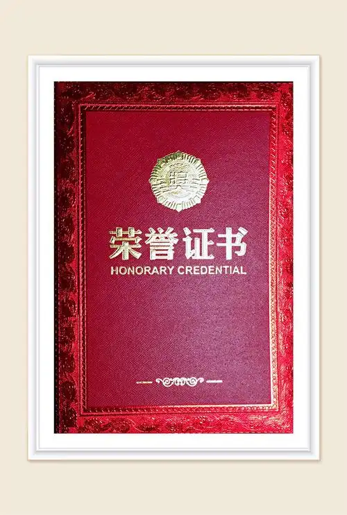 艺术家荣誉证书封面