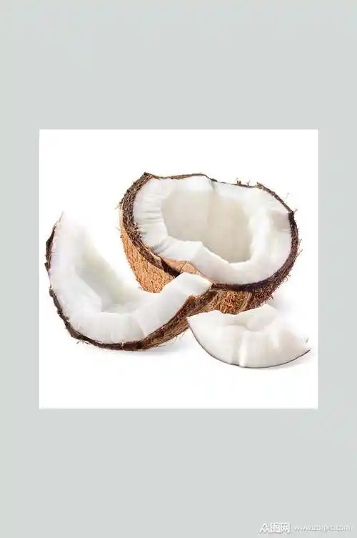 新鲜海南椰子食品摄影图片