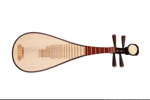 美团【知音阁音乐工作室】琵琶一对一体验课