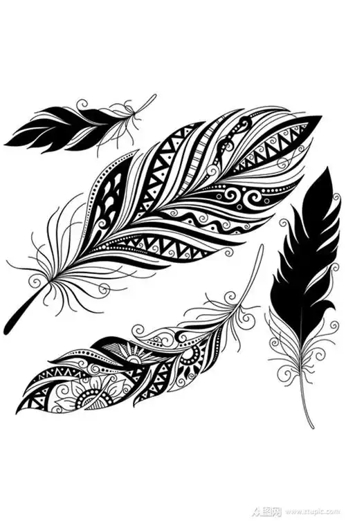 精美羽毛矢量素材元素素材