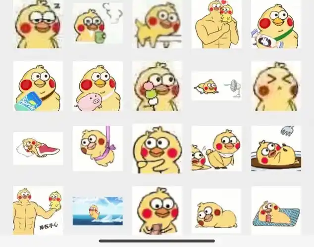 可可爱爱的小黄鸭表情包