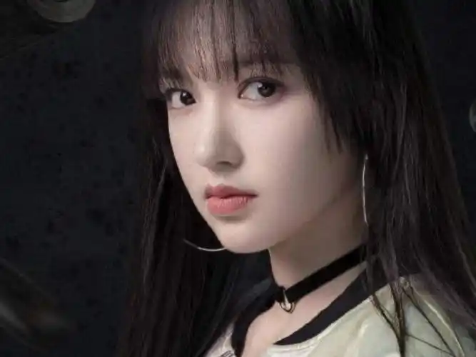 为"神颜"程潇,下面就来分析下奶潇的美貌感吧 鼻子 最喜欢程潇的鼻子