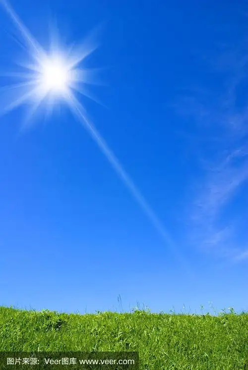 天空,日光,蓝色,草坪,环境