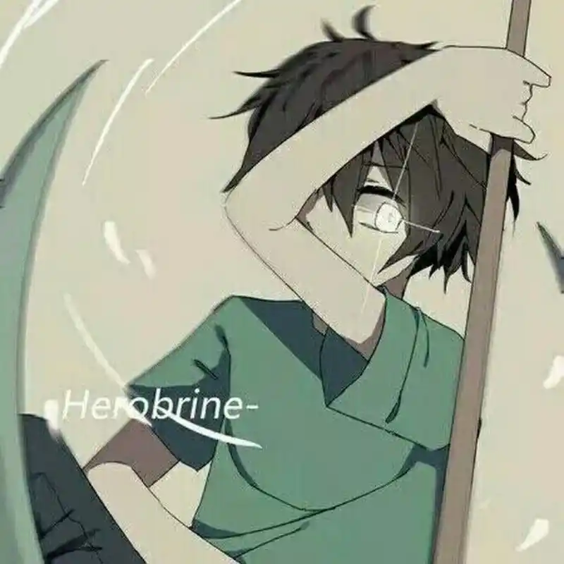 我的世界吾王him图片/头像