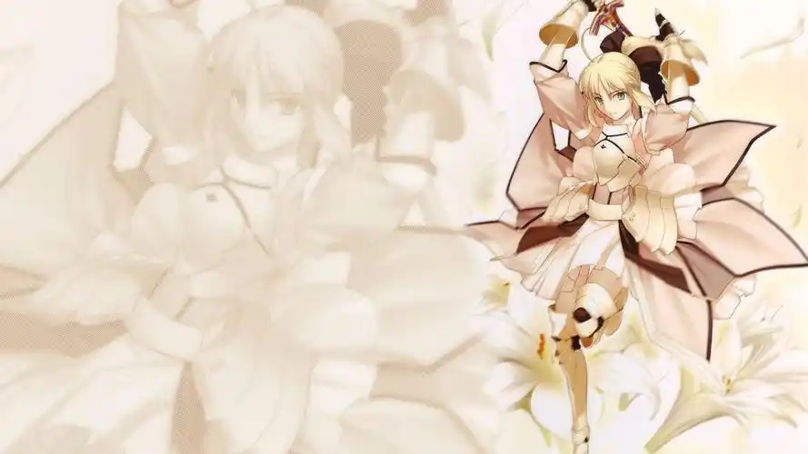 求那个2次元大神给9张saber的高清壁纸!