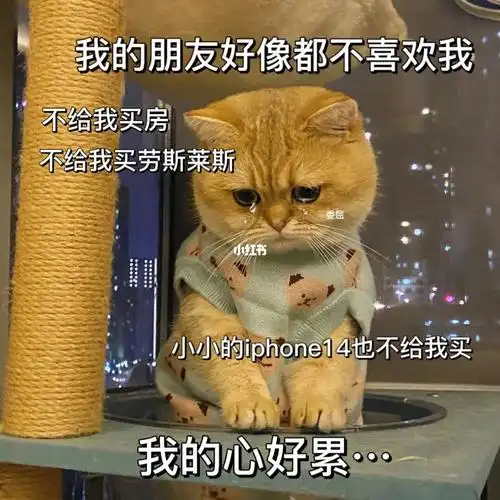 可爱表情包  #表情包  #搞笑表情包  #表情包分享  #奇奇怪怪表情包