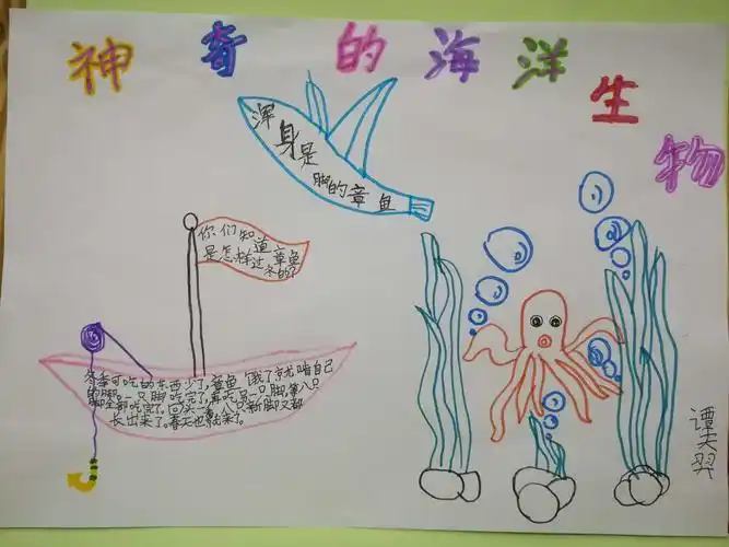南京路小学二年级三班海洋主题手抄报