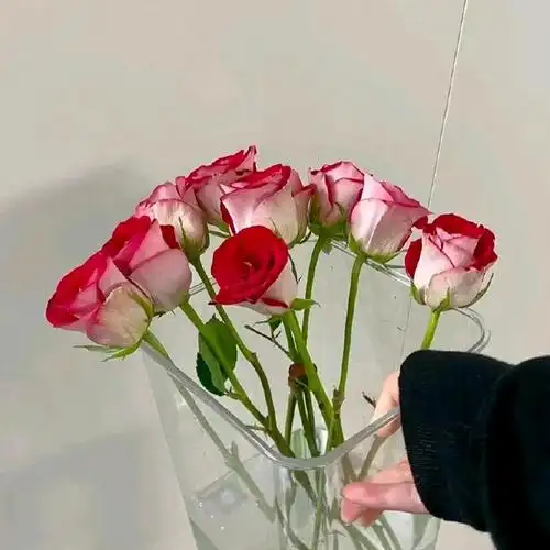 自拍文案##朋友圈文案##日常文案##微信状态背景图##小众壁纸##ins风