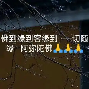 万事皆因果 一切皆是命 阿弥陀佛头像