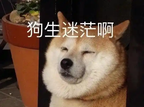 讲一个"顶流"搞出人命的故事