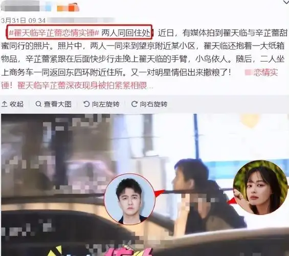 翟天临:我这辈子最正确的决定,就是退圈前,与辛芷蕾在一起了_论文