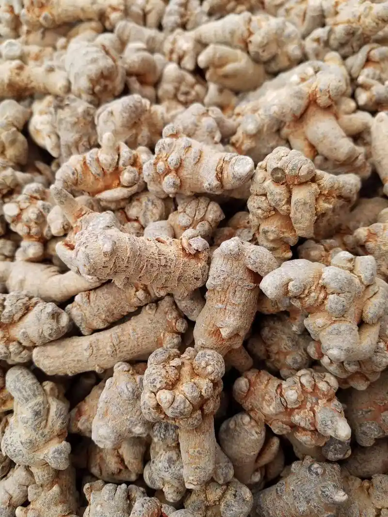 止血之最三七:根茎叶花都是宝,止血散瘀是一流.