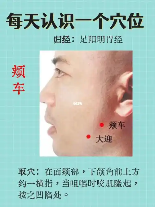 中医  #穴位  #针灸  #口歪  #牙痛  #面神经麻痹  #三叉神经痛  #颞