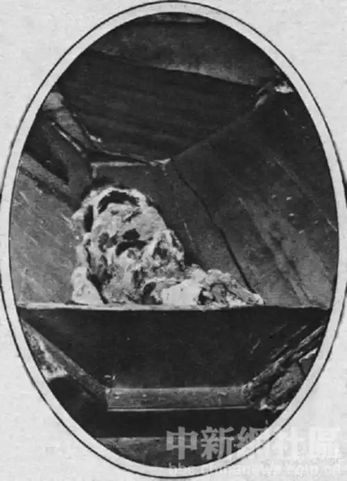 如今,慈禧的遗体仍完整地躺在棺内,保留着1928年重殓时的状态.