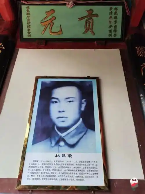 当天来回福州周边踏春宝地吸氧徒步逛古厝赏花15h可达