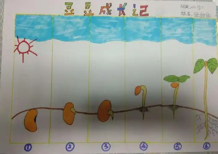 九方小学二年五班《由小变大》绘画作品展
