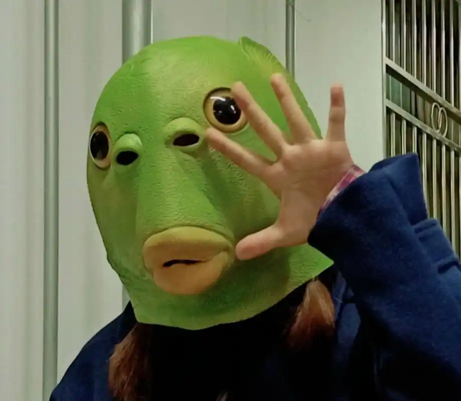 绿头鱼 95 搞笑头像!