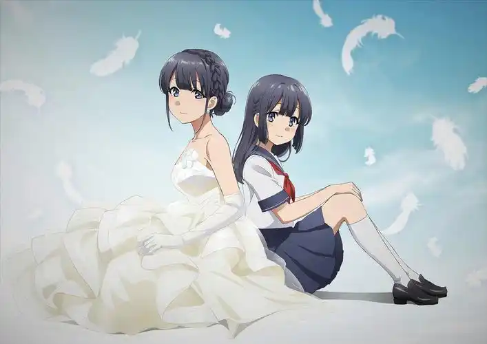 动漫壁纸&美图 | 青春猪头少年不会梦到兔女郎学姐