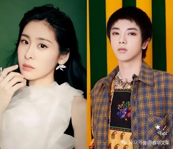 只要孩子不要名分聪明至极的张碧晨给华晨宇设的局正在显现