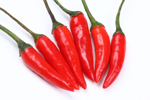 小米云南辣椒朝天德宏特产芒市新鲜米辣椒500克辣椒