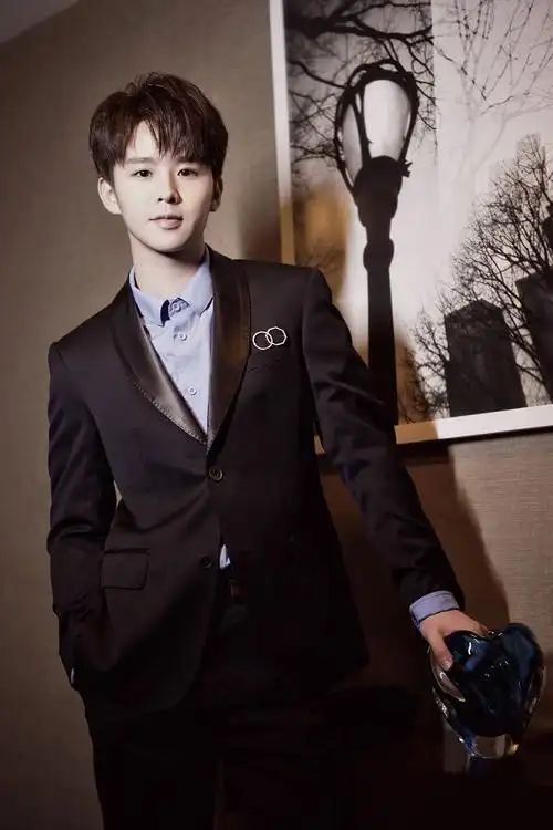 徐浩纽约出席联合国活动 英气少年推广中国文化