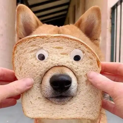 微信头像丨有点搞怪_网易订阅