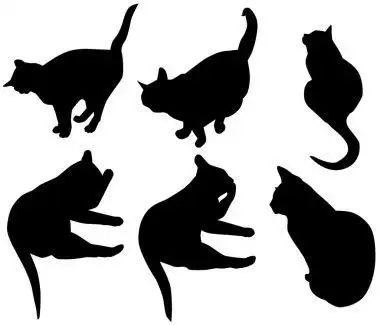 两只猫与阴影两个猫咪与影子矢量