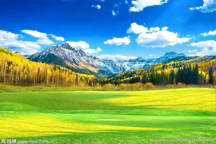 雪山下的草原图片