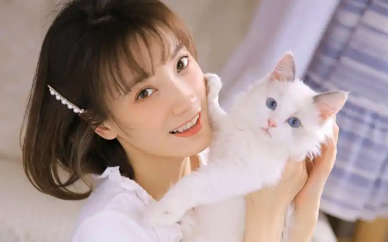 白色小猫咪和漂亮小姐姐桌面壁纸