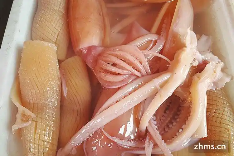 红鱿鱼和白鱿鱼区别