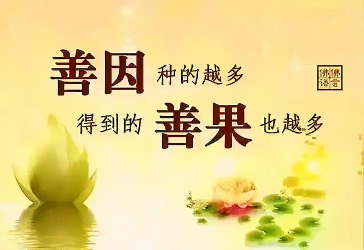 我要分享 如是因如是果,现在欢喜来还报,梦参老和尚 我们要相信因果