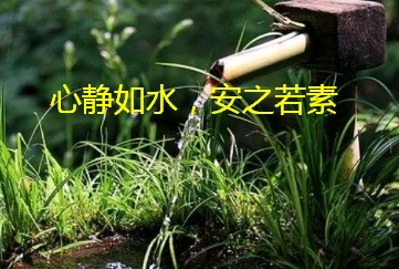 你能做到心静如水安之若素吗