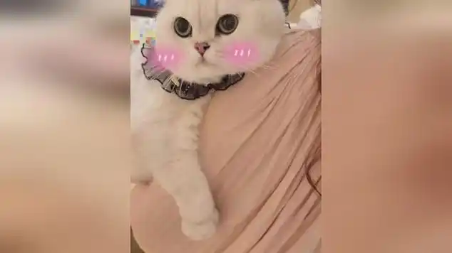 "胖的"出门,炸的不是街,是老娘的腰._网易视频