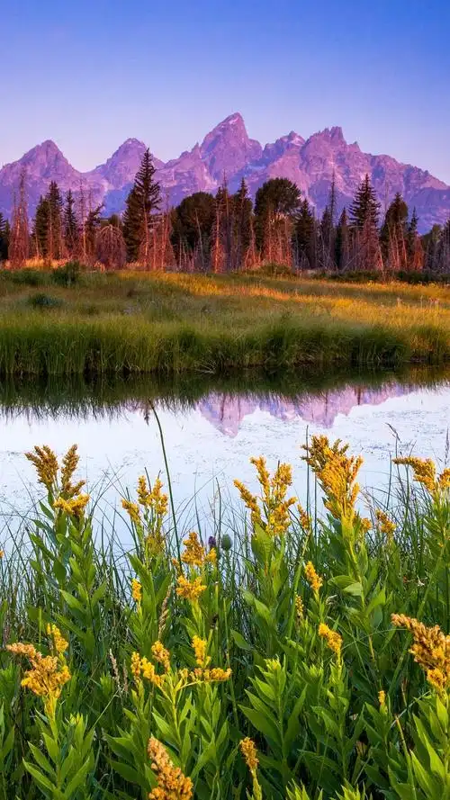 有哪些适合iphone12用的高清壁纸