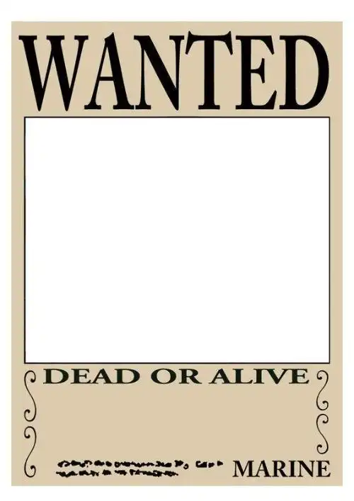 求海贼王空白通缉单一张,要没头像没名字没赏金得,只要图片,不要给我