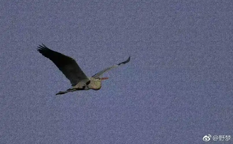 潮图qq背景 空间背景 - 堆糖,美图壁纸兴趣社区