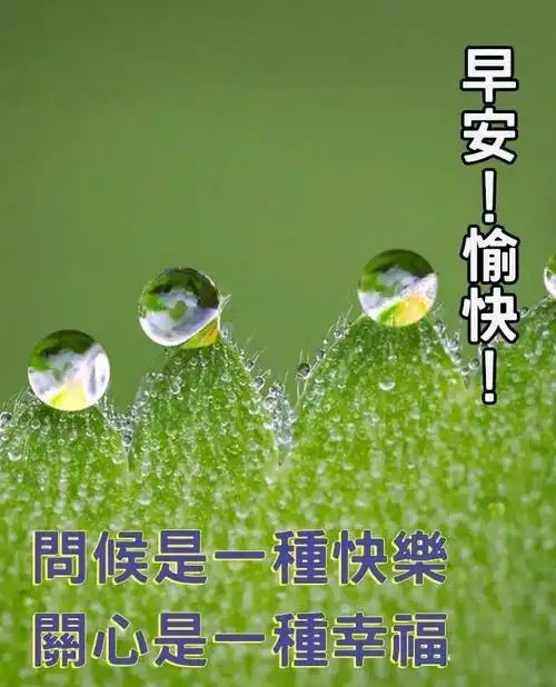 温馨的夏天风景早上好图片带字 暖心的早上好问候图片 2021早安祝福语