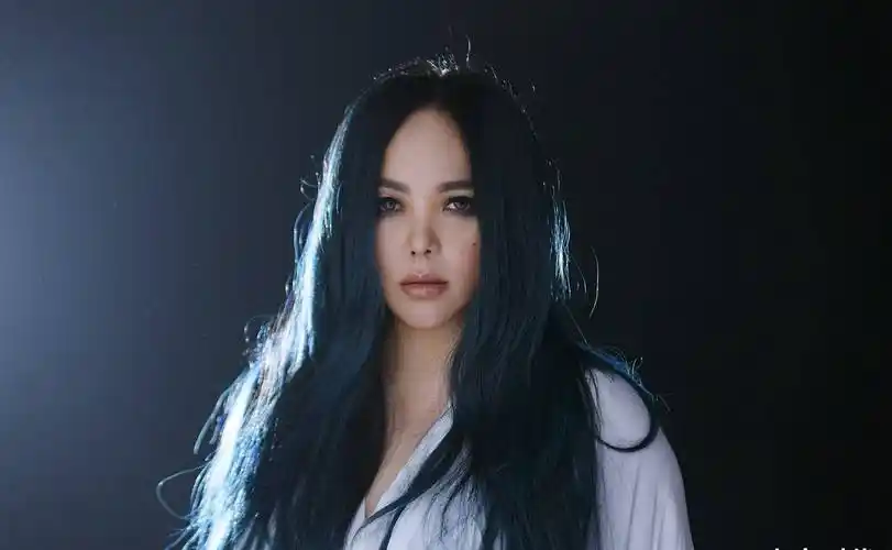 华语乐坛最具实力的女歌手,有你心中的那位吗_梅艳芳_歌曲_张惠妹