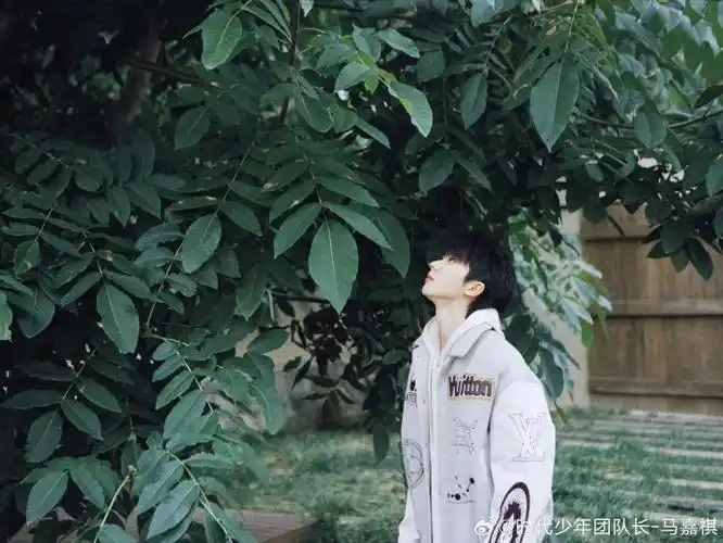 马嘉祺月末营业照