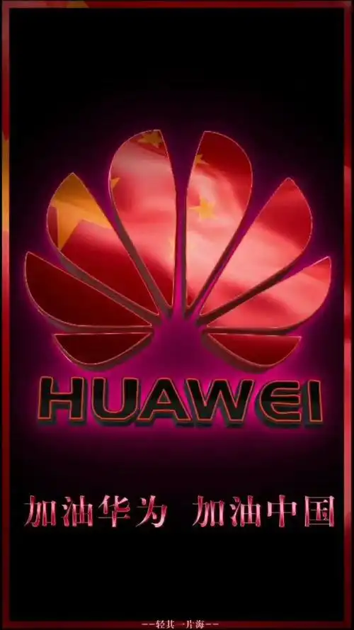 华为,中华有为.加油!