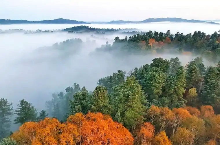 美丽祖国金秋林海