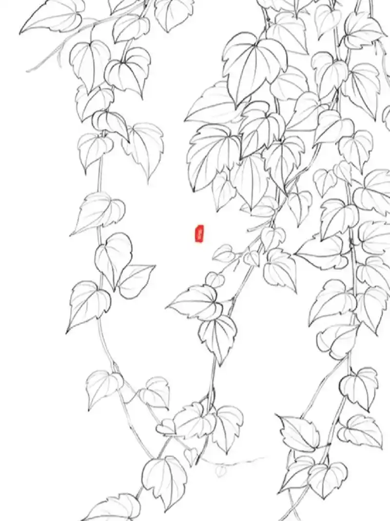 线描# 82 爬山虎 线描爬山虎,自拍自画系列～ 最近路上看到很多漂亮