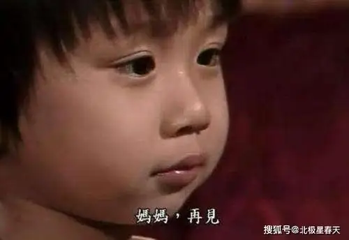 小彬彬:三婚花6万台币娶越南老婆,无戏可拍把儿子当"摇钱树"_手机搜狐