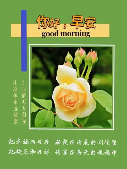 让心情天天阳光让身体永远健康早安